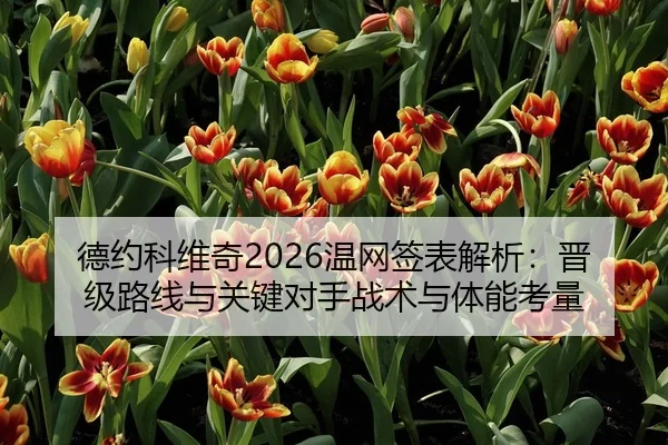 德约科维奇2026温网签表解析：晋级路线与关键对手战术与体能考量
